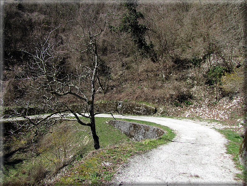 foto Val Carazzagno